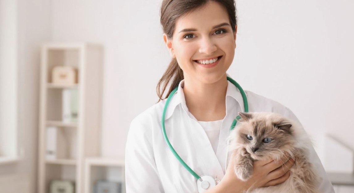 dubai veterinary clinic